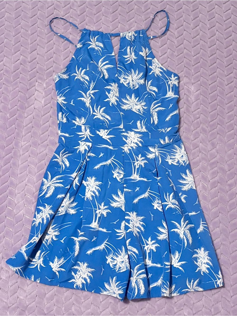 Hollister Co. Blue and White Palm Tree Print Mini Dress